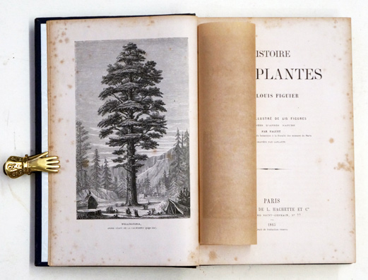 Histoire des plantes