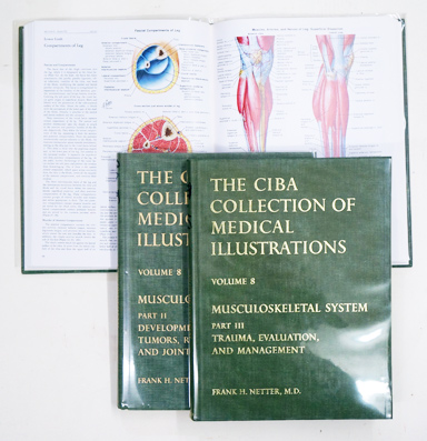 The CIBA Collection of Medical Illustrations. Volume 8